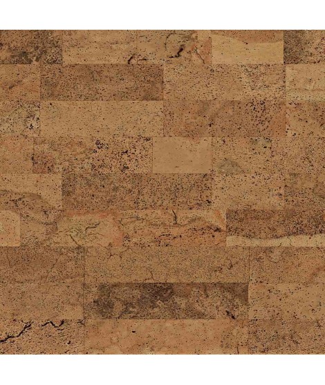 Sample Cork coating Andreia 1
