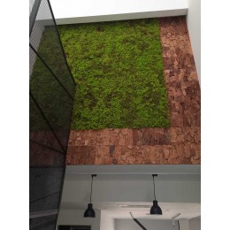Sound-absorbing bark cladding
