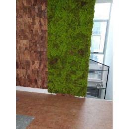 Decorative insulation coating