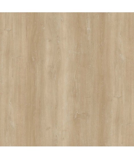Campione SPC Sunny Oak 5,2 mm con tappetino in sughero integrato 1