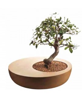 Vaso bonsai in sughero Zen 