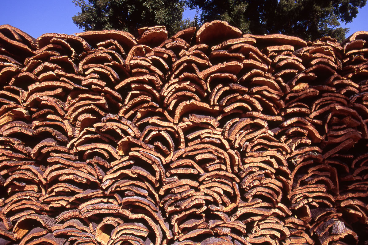 Stacks of freshly extracted bark.